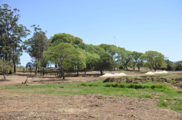 Libres Avanza La Creaci N Del Balneario En La Laguna Mansa